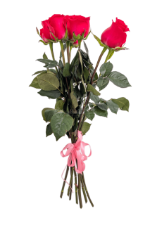 Букет "Огненный"